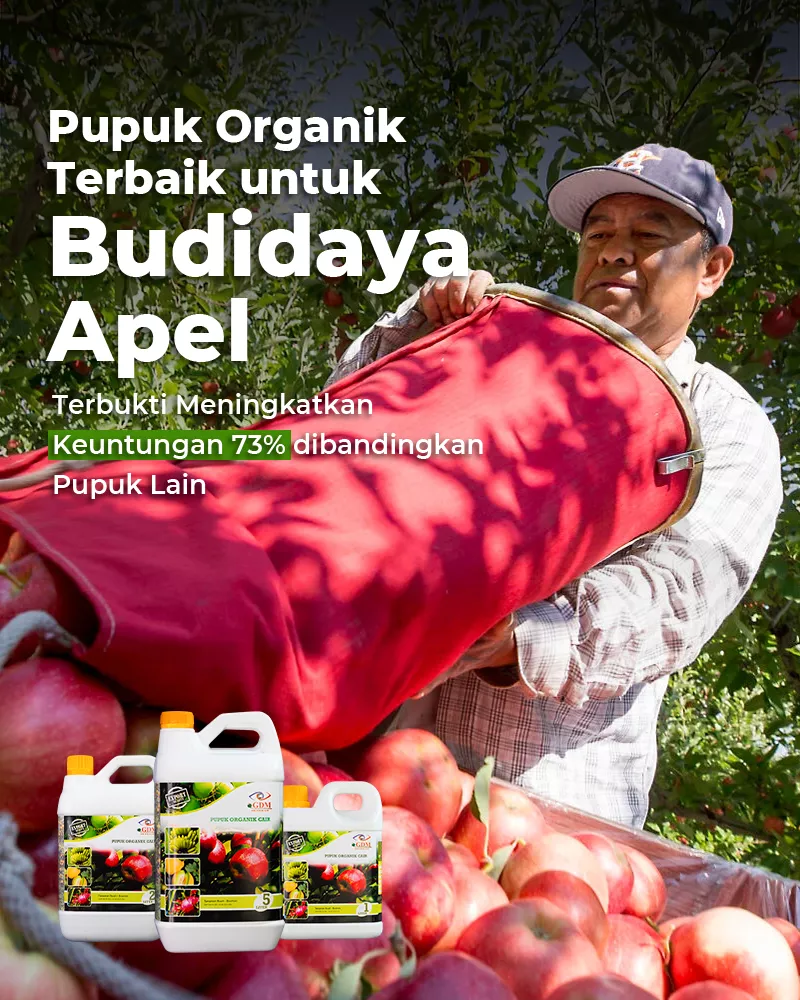 Apel-Banner-Utama-Mobile-800×1000-1.webp