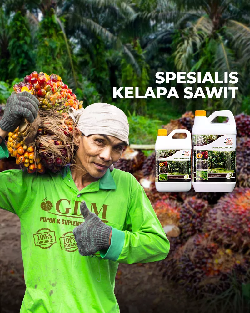 Halaman-POC-Sawit-mobile.webp