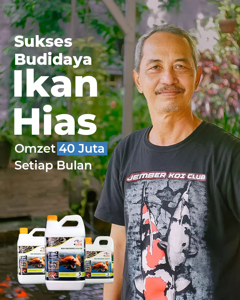 Ikan-Banner-Utama-Mobile-800×1000-1.webp