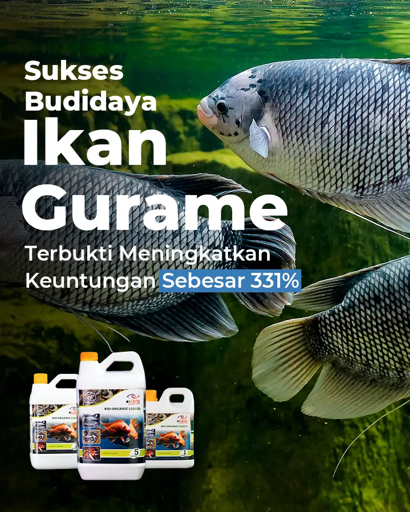 Ikan-Banner-Utama-Mobile-800×1000-rem.webp
