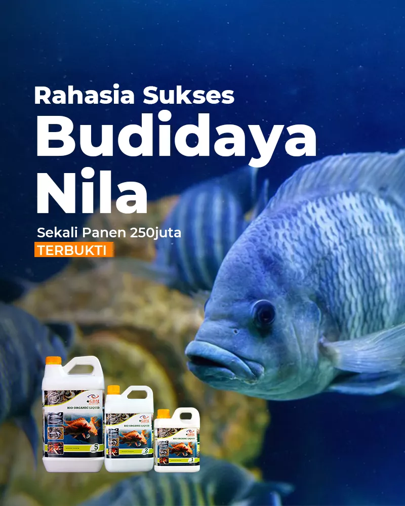 Nila-Banner-Utama-Mobile-800×1000-1.webp