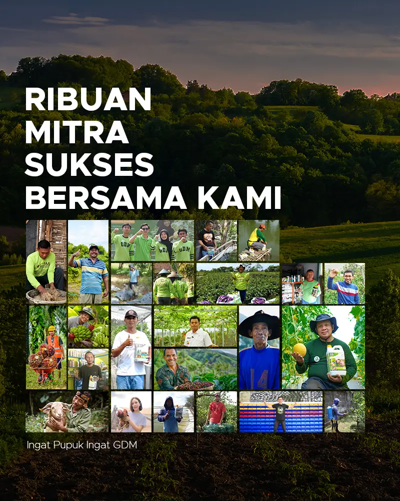 Ribuan-Mitra-Mobile.webp