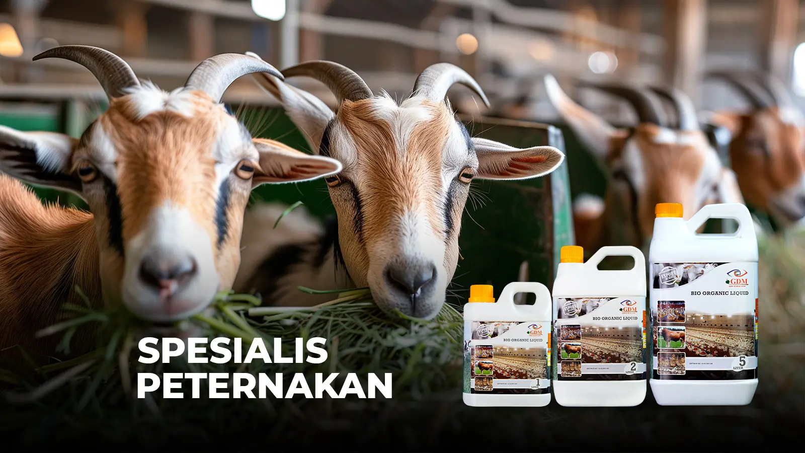 Halaman SOC Ternak – destop