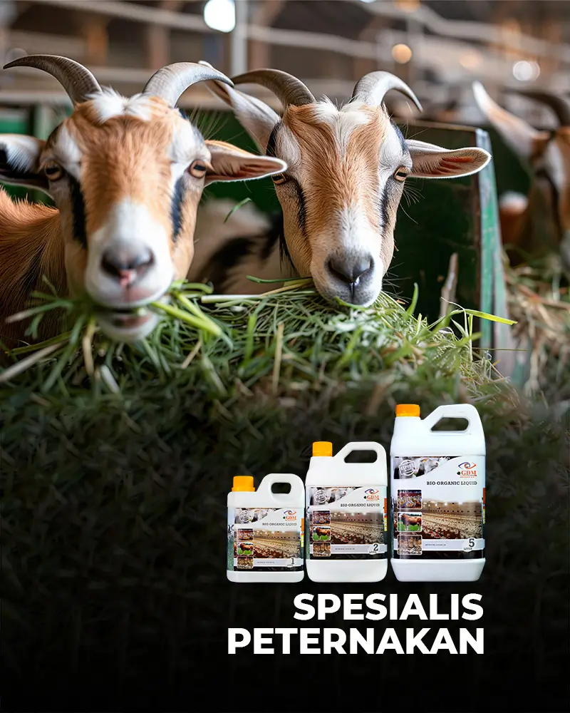 Halaman SOC Ternak – mobile