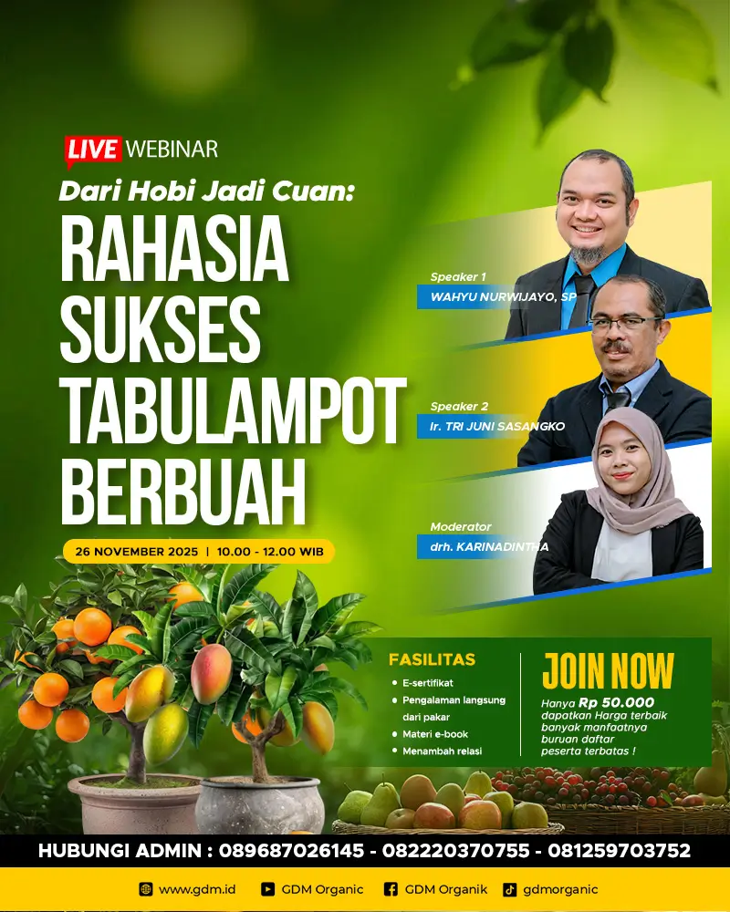 GDM Webinar Agustus mobile