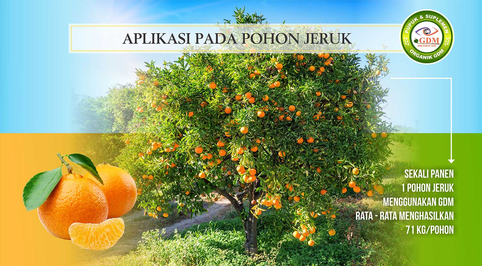 AFTER-JERUK