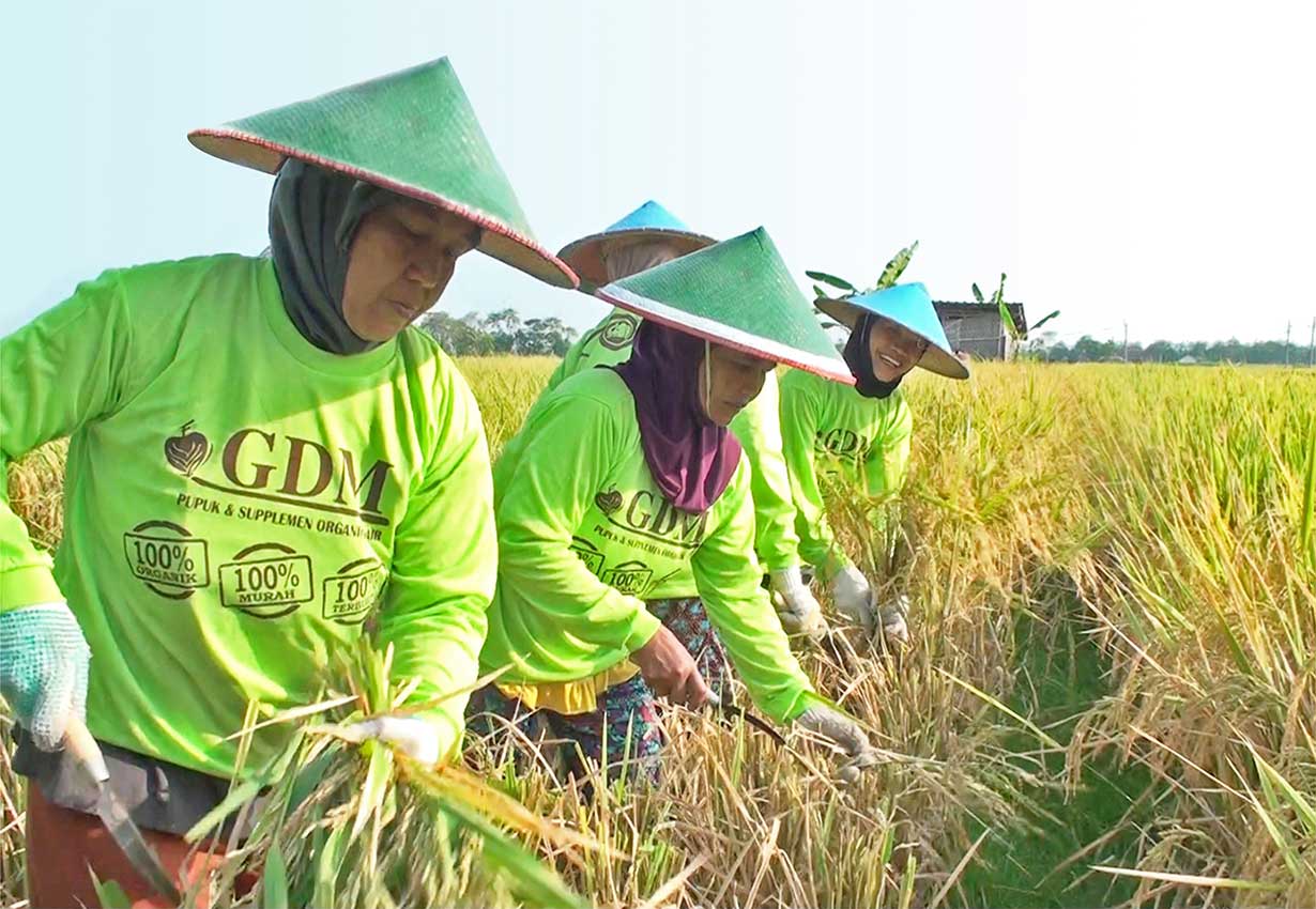 PETANI PETANI