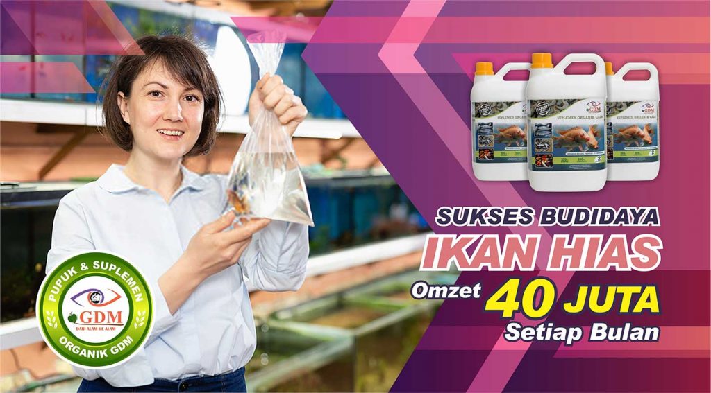 probiotik ikan hias gdm