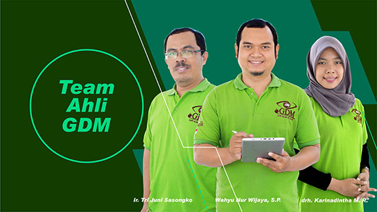 ahli alpukat gdm