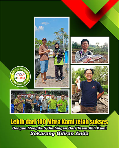 peternak ikan bandeng