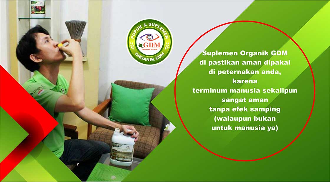 probiotik bandeng organik