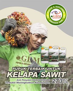 Pupuk Sawit GDM - Terbukti Keuntungan Naik Hingga 273%