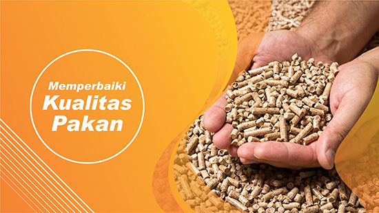 pakan kelinci