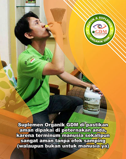 suplemen aman untuk kelinci