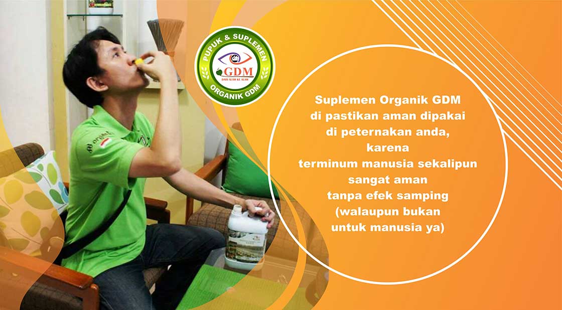 suplemen kelinci