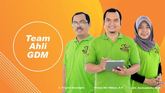 tim ahli kelinci
