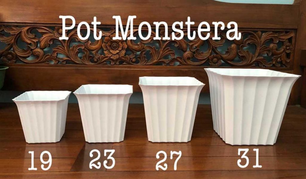 pot untuk monstera