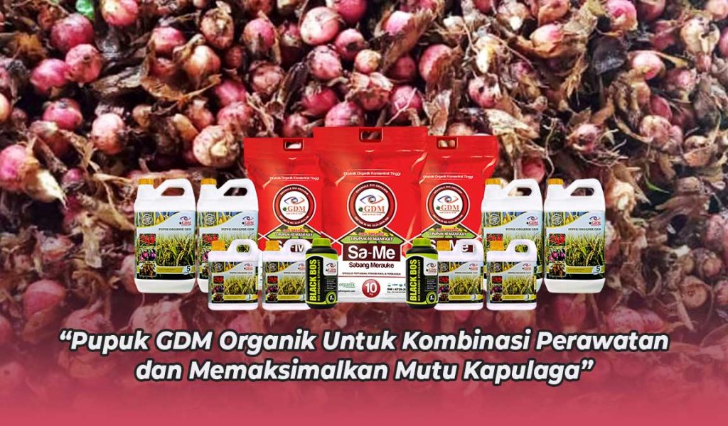 Produk GDM untuk tanaman pangan