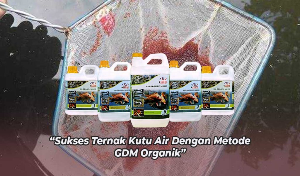 suplemen untuk kutu air