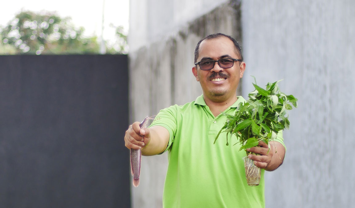 Cara Budidaya Ikan Lele Di Ember Mudah Bagi Pemula