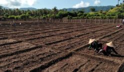 cara merawat tanah rusak secara organik