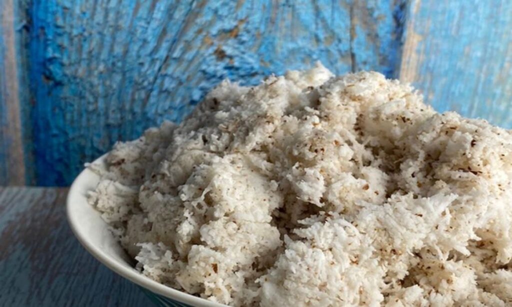 pakan ampas kelapa