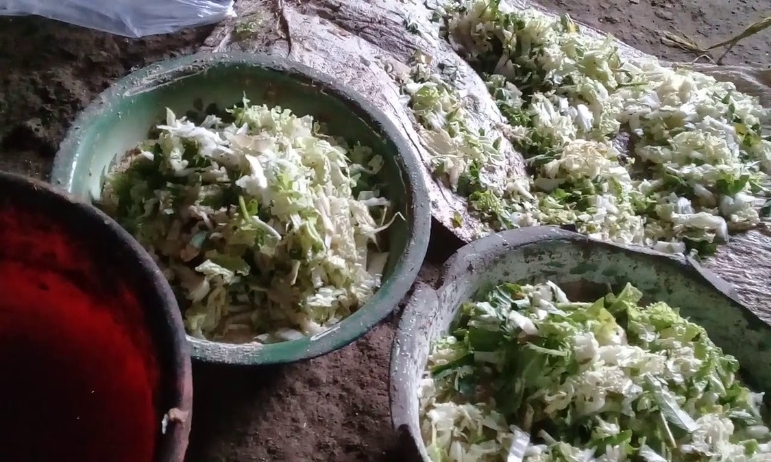 Pakan Bebek Petelur Per 100 Ekor Jenis Kebutuhan Nutrisi Komposisi