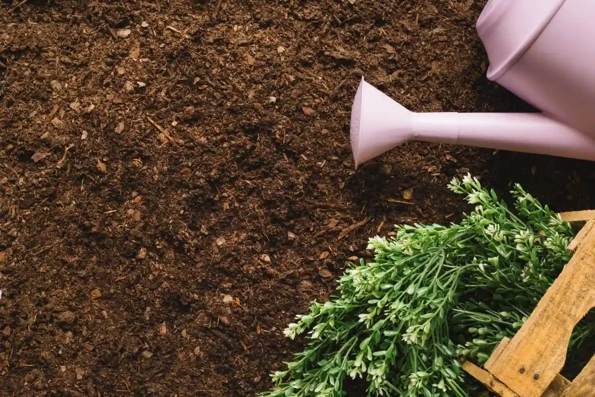 Pupuk kompos dari daun kering