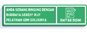 Cara Menanam Serai Dalam Pot, Jadi Peluang Bisnis Kekinian