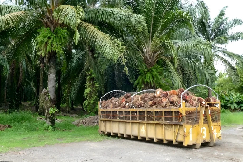 Pupuk Organik untuk Sawit