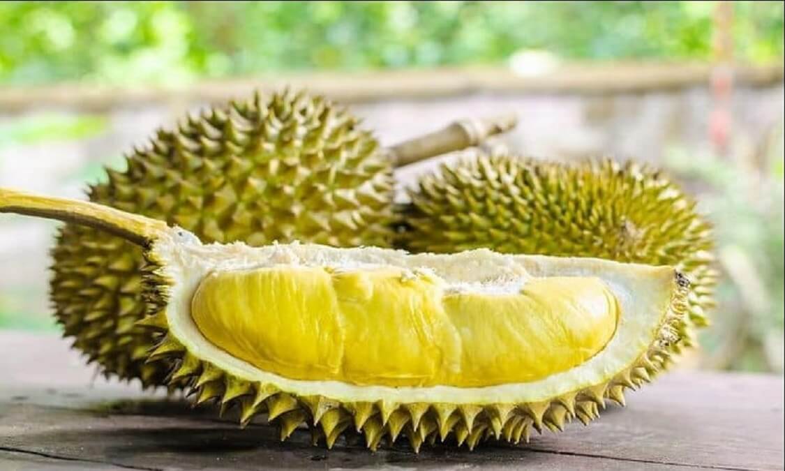 buah durian