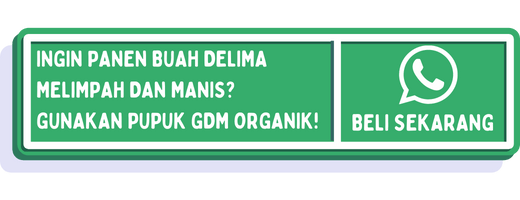 beli pupuk gdm untuk delima