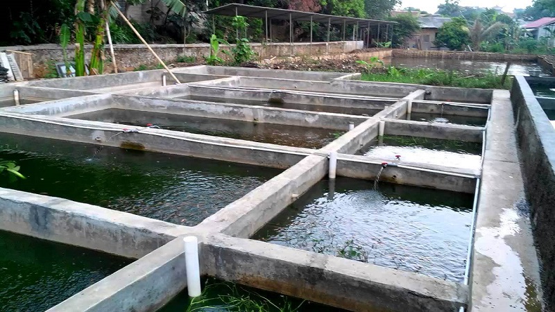 kolam tembok