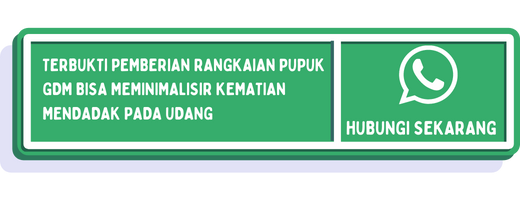 penyebab udang mati mendadak cta (1)