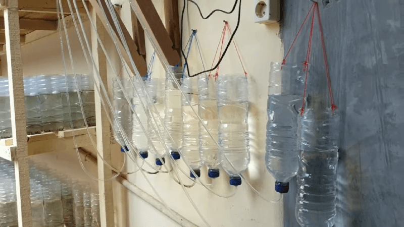 peralatan dan perlengkapan budidaya artimea pakai botol
