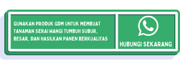 Panduan Budidaya Serai Wangi Untuk Pemula Terlengkap