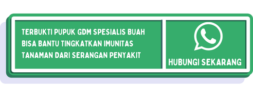cta busuk hitam buah nangka (1)