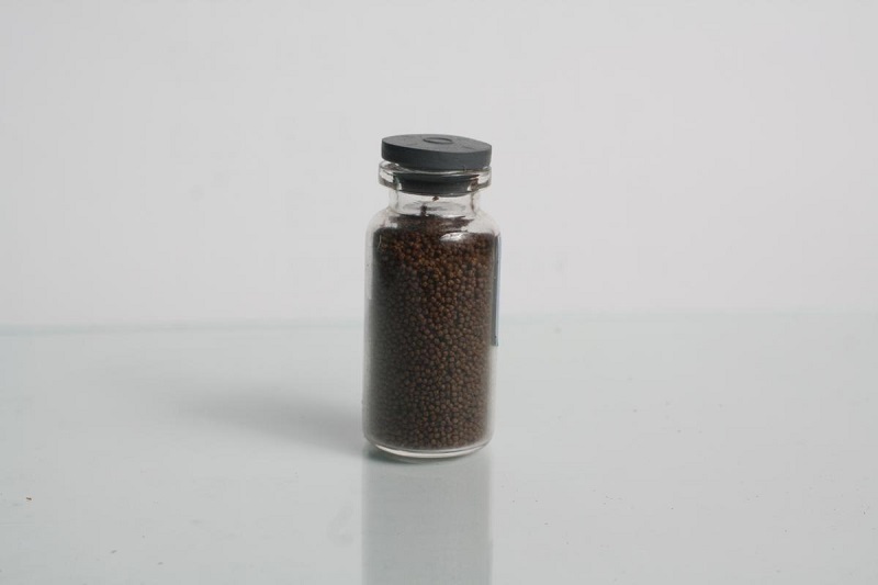 pakan buatan untuk ikan molly