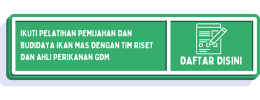 cta pembenihan ikan mas (2)