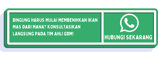 cta pembenihan ikan mas (3)