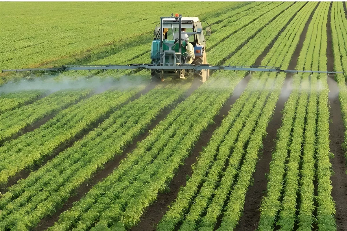 Pabrik Pupuk Organik Palembang, Solusi Terbaik untuk Petani