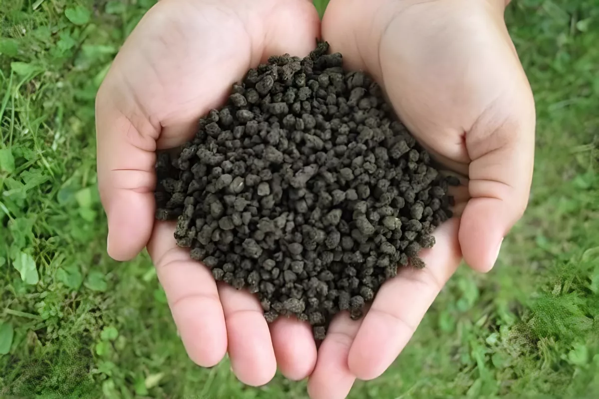 Toko Pupuk Organik Surabaya Terbaik, PT Graha Alam Sempurna