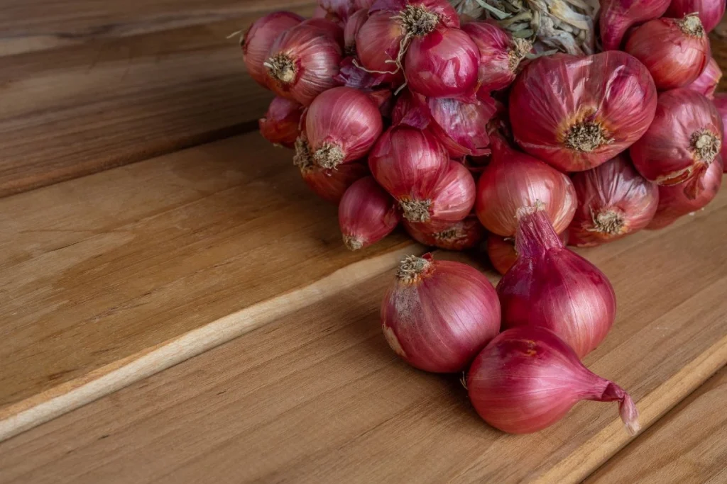 Pupuk bawang merah yang bagus
