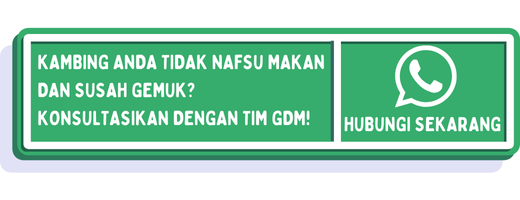 cta cara meningkatkan nafsu makan kambing 1