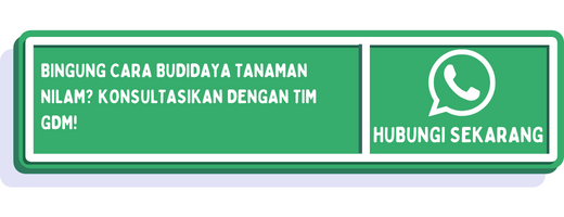 cta kegunaan tanaman nilam 1