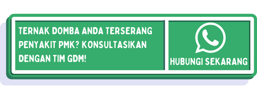 cta penyakit pmk pada domba 1
