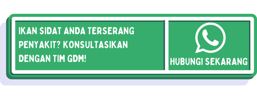 cta penyakit ikan sidat 1