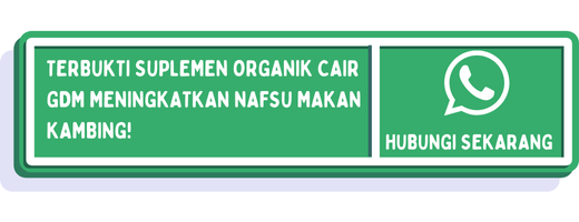 cta cara meningkatkan nafsu makan kambing 2