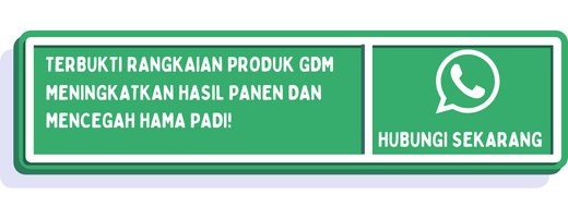 cta pupuk padi pertama 2