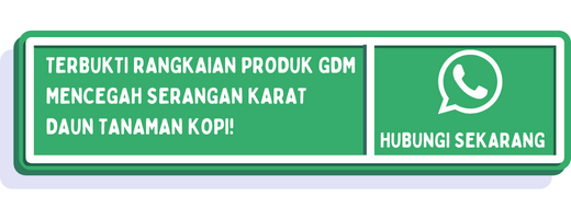 cta cara mencegah penyakit karat daun kopi 2
